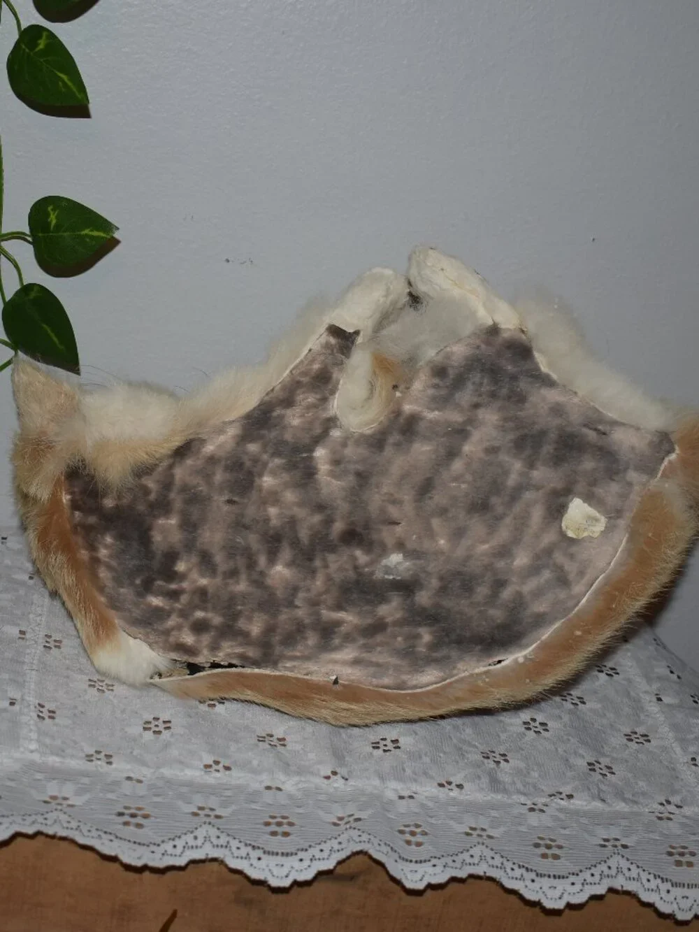 Vintage Antique Real Rabbit Fur Realistic Cat Figure Decor
